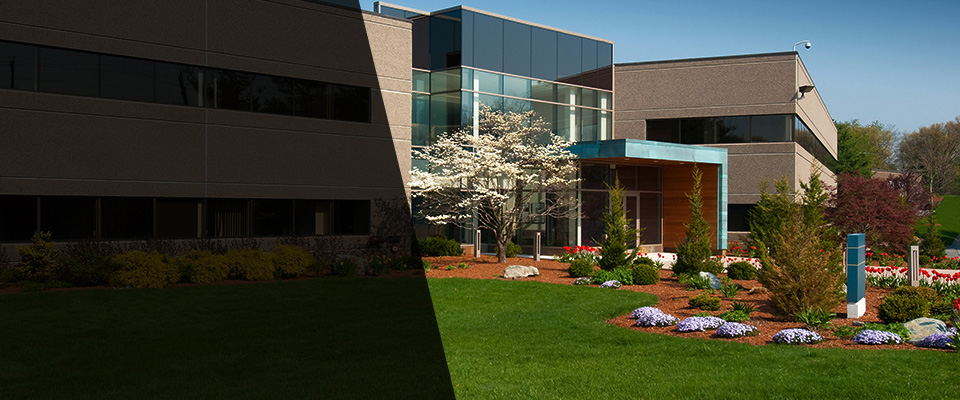 South Haven Landscapers