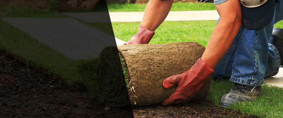 South Haven Landscapers